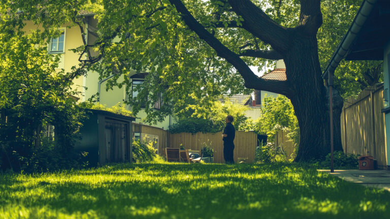 Bonner Gartengrenze: Rechtliche Lösungen für überwuchernde Pflanzen