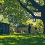 Grüne Grenzen in Bonn: Rechtliche Aspekte der Gartenbepflanzung am Nachbargrundstück