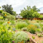 Optimale Gartengestaltung: Mehrwert für Ihre Immobilie schaffen